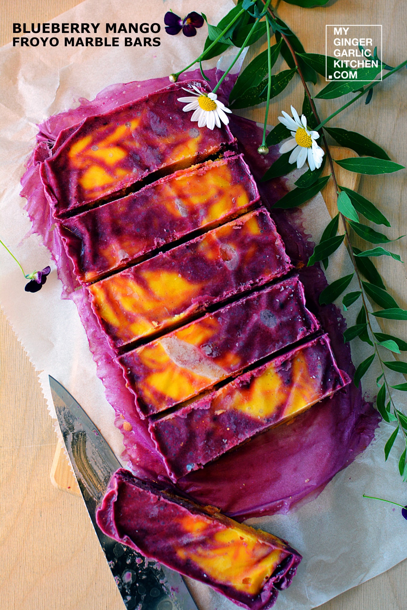 Blueberry Mango Froyo Marble Bars