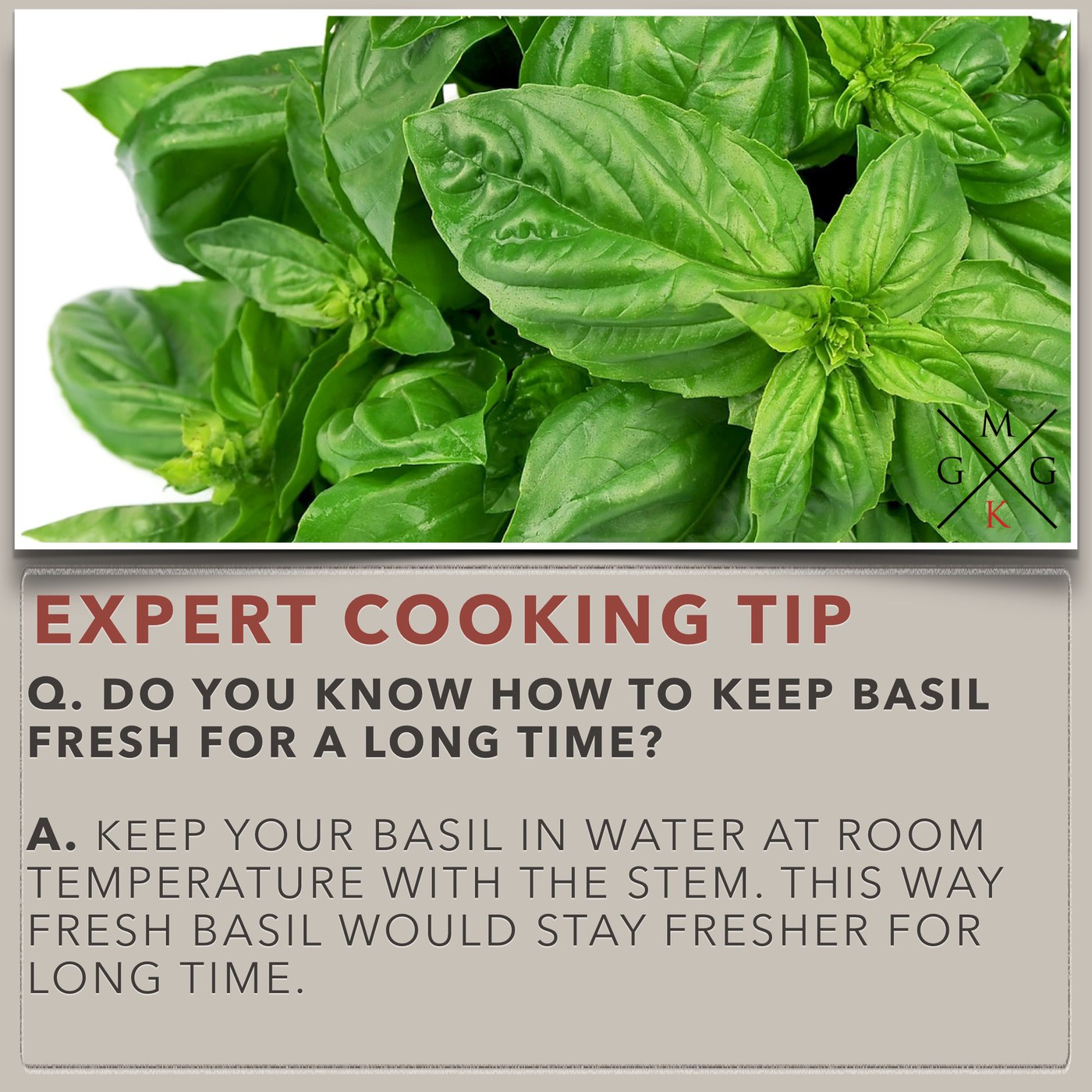 Image of Do you know how to keep basil fresh?