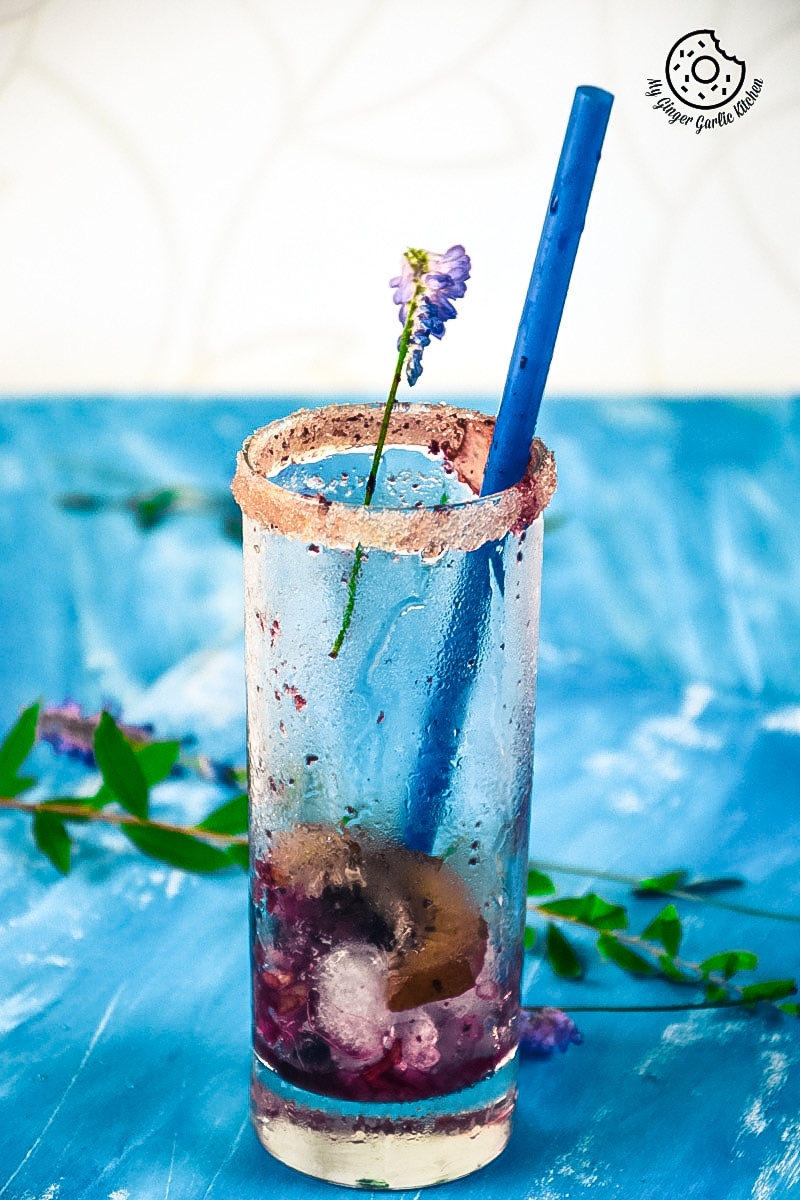 recipe-blubeberry-kiwi-cooler|mygingergarlickitchen.com/ @anupama_dreams