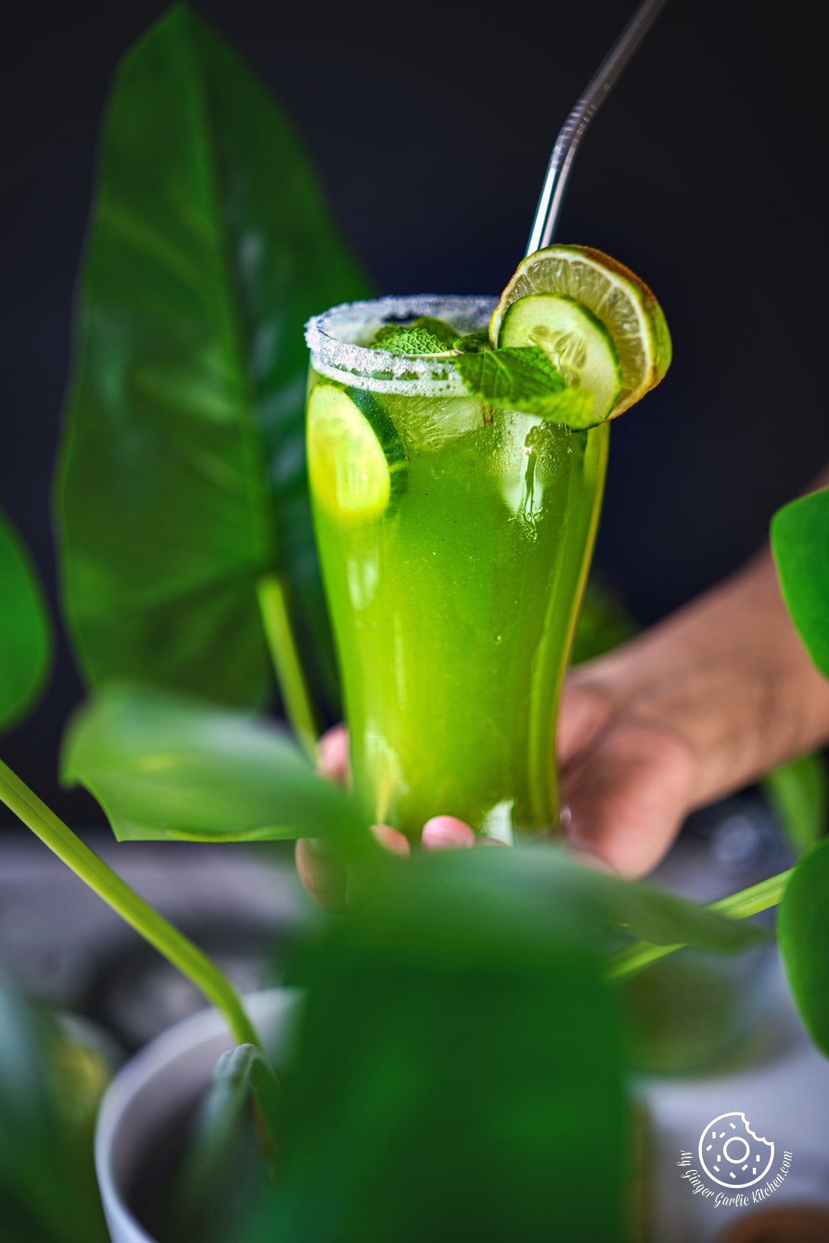 Image of Cucumber Cooler