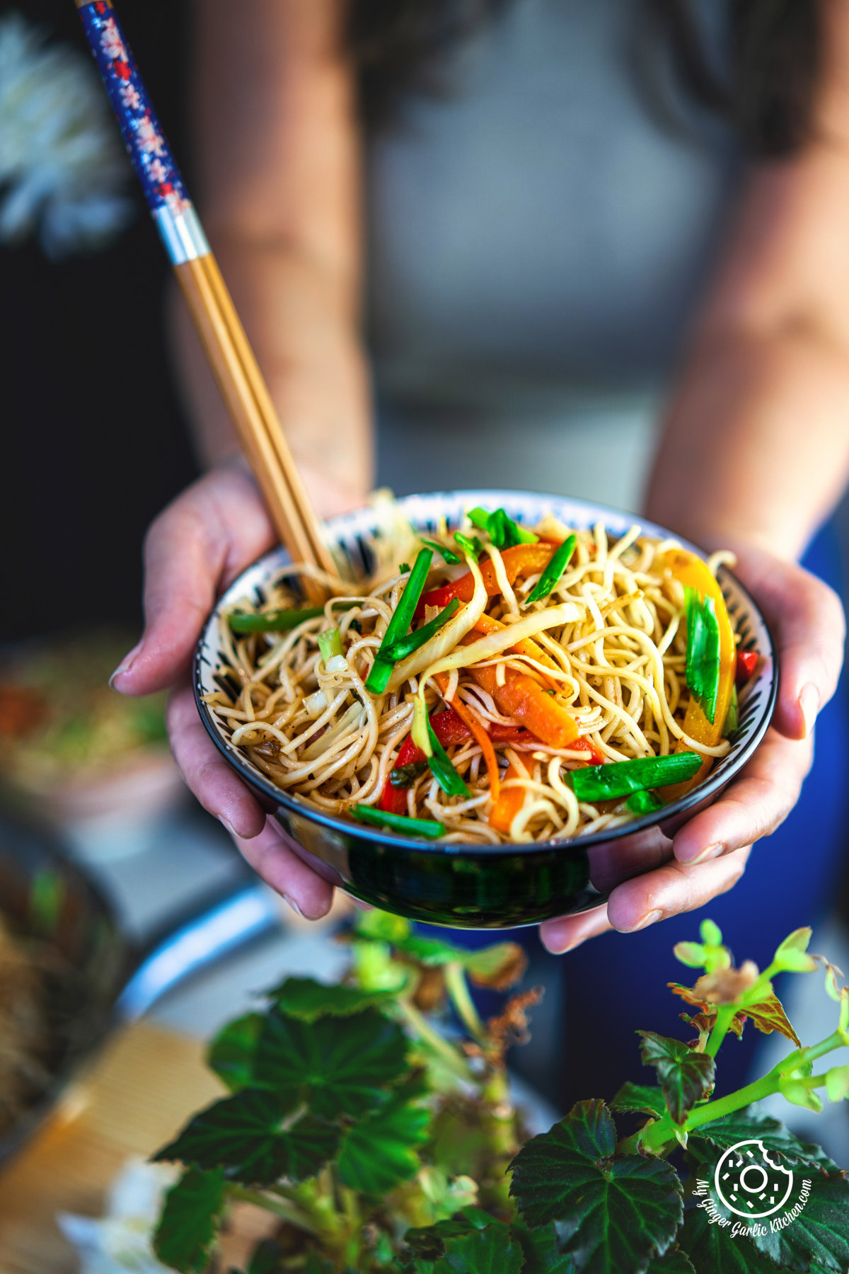 Image of Vegetable Hakka Noodles