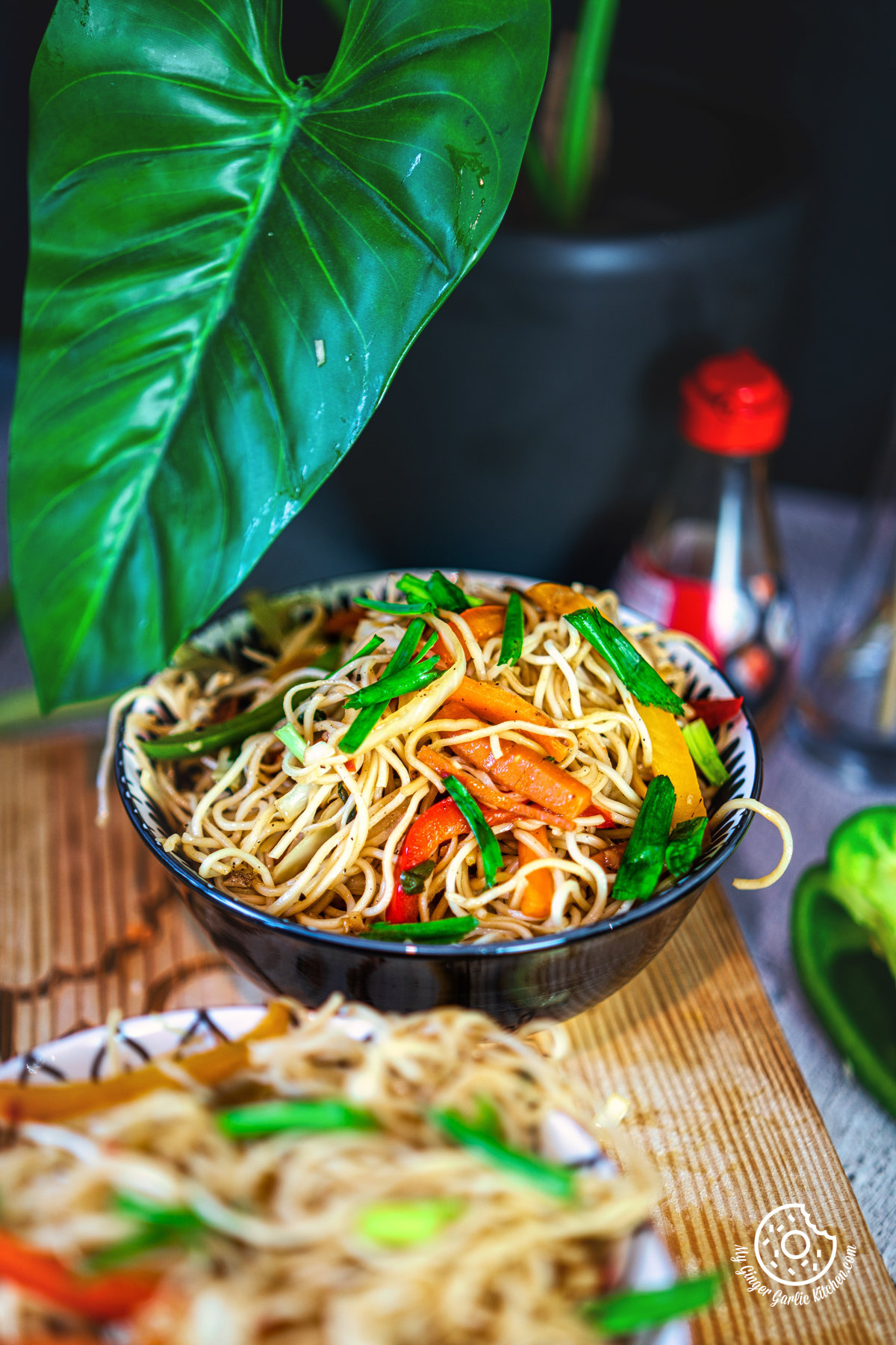 a closeup of vegetable hakka noodles served in a black bowl with a green plant in the background
